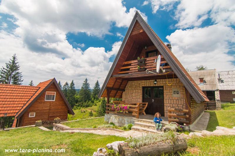 Planinska Kuca Dusan Mitrovac Exterior foto