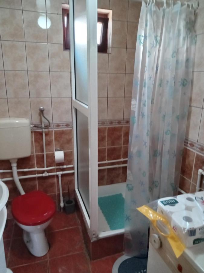 Planinska Kuca Dusan Mitrovac Exterior foto