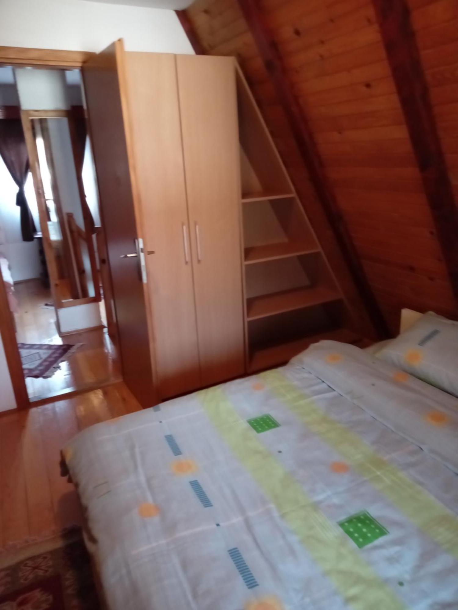 Planinska Kuca Dusan Mitrovac Exterior foto