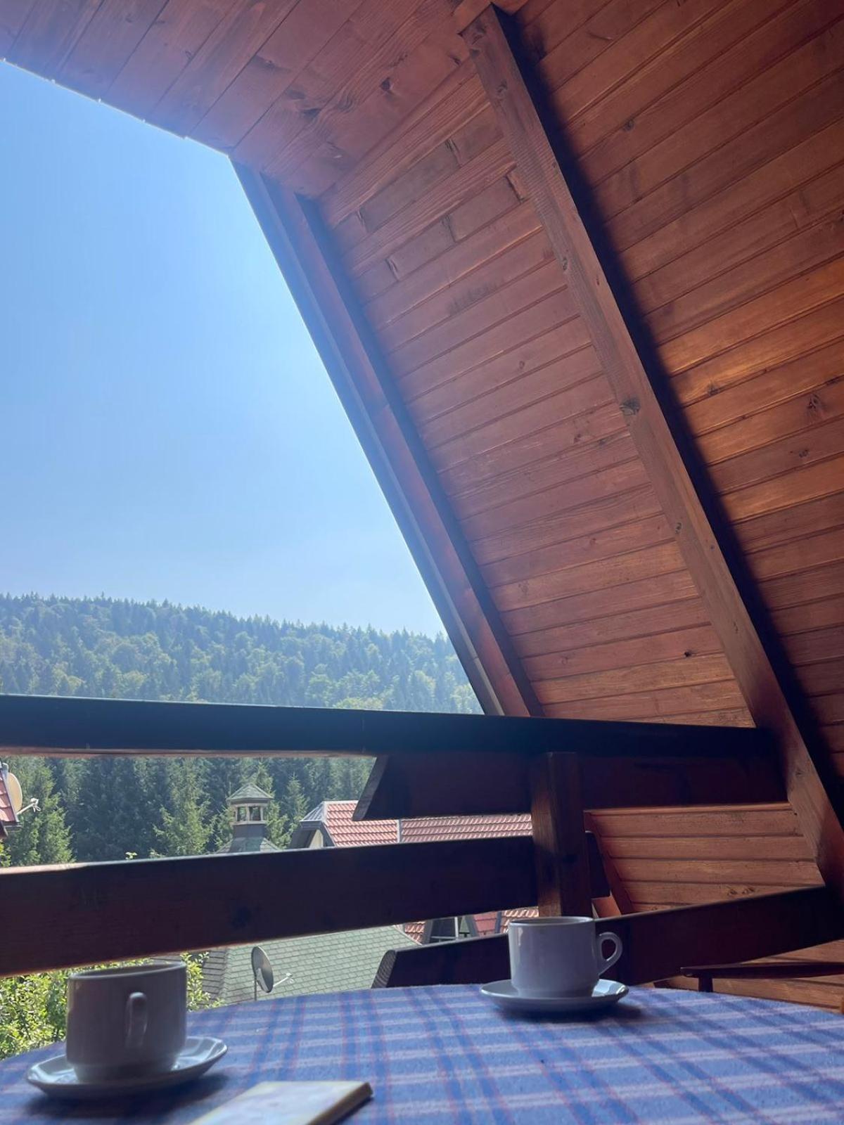Planinska Kuca Dusan Mitrovac Exterior foto